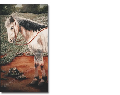 Roany Pony